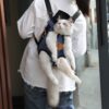 Portable cat backpack for spring outing - Image 6